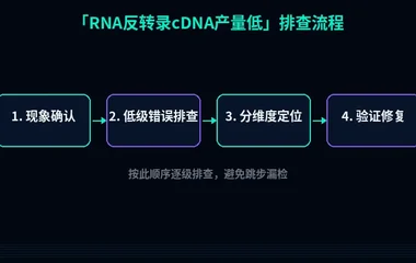 RNA反转录cDNA产量低