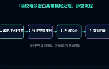 教程配图2:凝胶电泳蛋白条带拖尾处理 排查流程示意