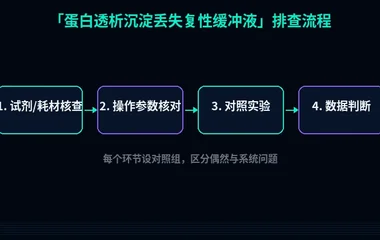 教程配图2:蛋白透析沉淀丢失复性缓冲液 排查流程示意