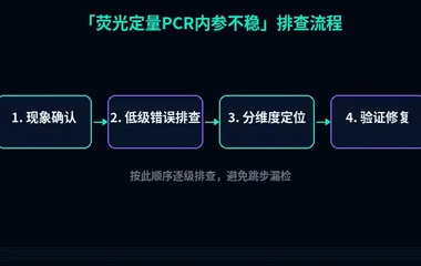 荧光定量PCR内参不稳
