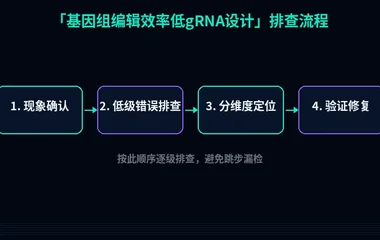 基因组编辑效率低gRNA设计