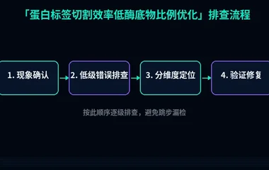 蛋白标签切割效率低酶底物比例优化