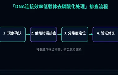 DNA连接效率低载体去磷酸化处理