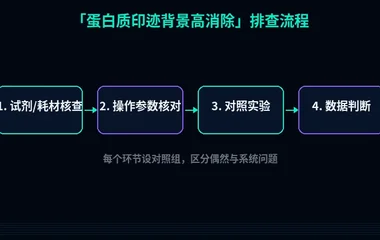 教程配图2:蛋白质印迹背景高消除 排查流程示意