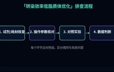 教程配图2:转染效率低脂质体优化 排查流程示意