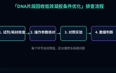 教程配图2:DNA片段回收低效凝胶条件优化 排查流程示意