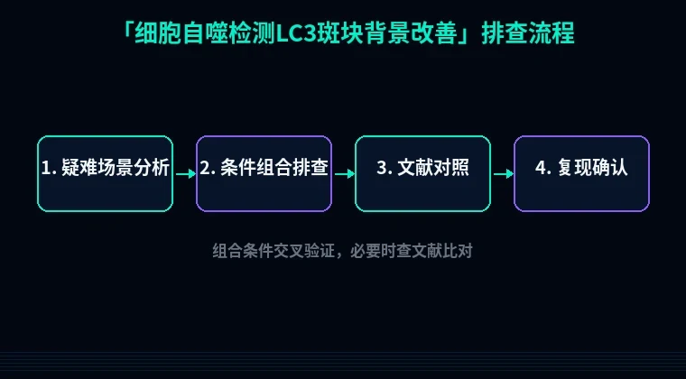 教程配图3:细胞自噬检测LC3斑块背景改善 排查流程示意