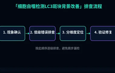 细胞自噬检测LC3斑块背景改善