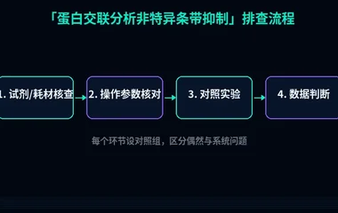 教程配图2:蛋白交联分析非特异条带抑制 排查流程示意