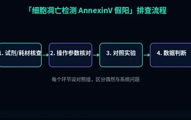 教程配图2:细胞凋亡检测 AnnexinV 假阳 排查流程示意
