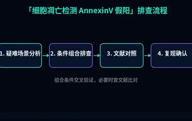 教程配图3:细胞凋亡检测 AnnexinV 假阳 排查流程示意