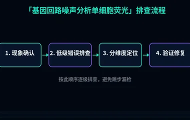 基因回路噪声分析单细胞荧光