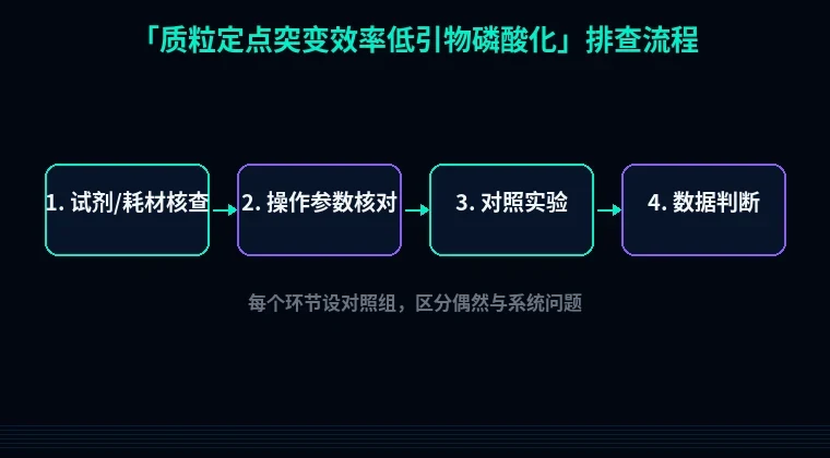 教程配图2：质粒定点突变效率低引物磷酸化 排查流程示意