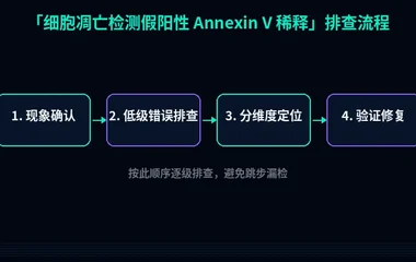 细胞凋亡检测假阳性 Annexin V 稀释