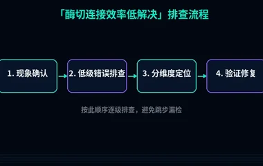 酶切连接效率低解决