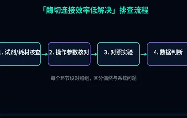 教程配图2：酶切连接效率低解决 排查流程示意