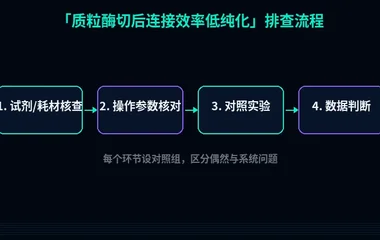 教程配图2:质粒酶切后连接效率低纯化 排查流程示意