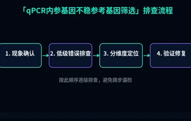 qPCR内参基因不稳参考基因筛选