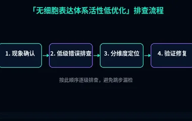 无细胞表达体系活性优化方案