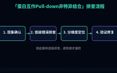 蛋白互作Pull-down非特异结合