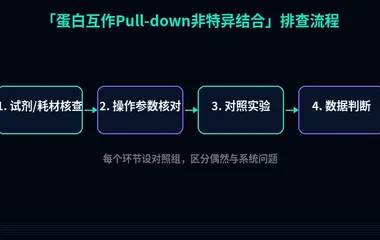 图2:蛋白互作Pull-down非特异结合排查流程示意。