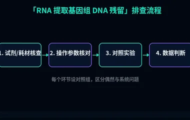 教程配图2:RNA 提取基因组 DNA 残留 排查流程示意