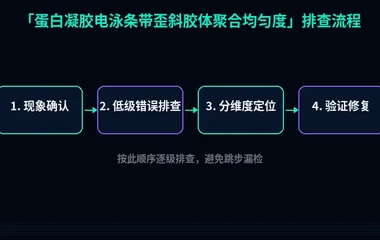 蛋白凝胶电泳条带歪斜胶体聚合均匀度