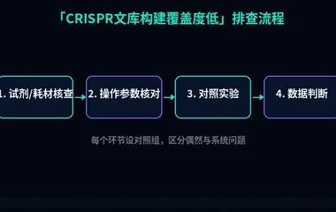 图2:CRISPR文库构建覆盖度低排查流程示意。