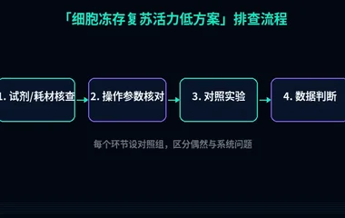 教程配图2:细胞冻存复苏活力低方案 排查流程示意