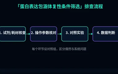 教程配图2:蛋白表达包涵体复性条件筛选 排查流程示意