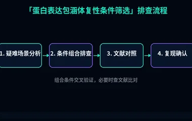 教程配图3:蛋白表达包涵体复性条件筛选 排查流程示意