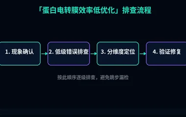 蛋白电转膜效率优化方案