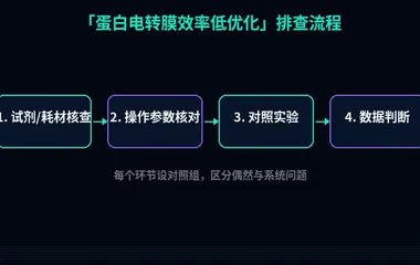 教程配图2：蛋白电转膜效率低优化 排查流程示意