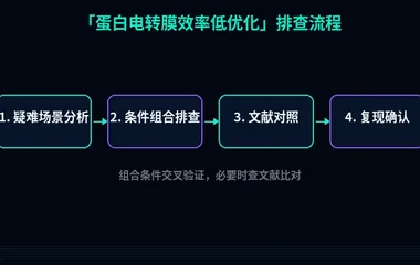 教程配图3：蛋白电转膜效率低优化 排查流程示意