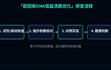 教程配图2:胶回收DNA低盐洗脱优化 排查流程示意