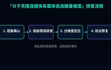 分子克隆连接体系载体自连酶量梯度