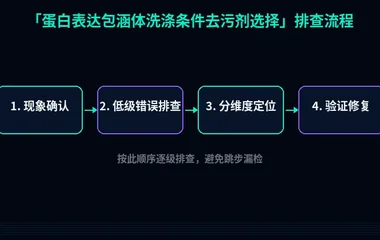 蛋白表达包涵体洗涤条件去污剂选择