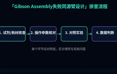教程配图2:Gibson Assembly失败同源臂设计 排查流程示意