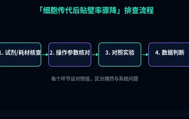 教程配图2:细胞传代后贴壁率骤降 排查流程示意
