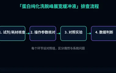 教程配图2:蛋白纯化洗脱峰展宽缓冲液 排查流程示意