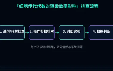 教程配图2:细胞传代代数对转染效率影响 排查流程示意