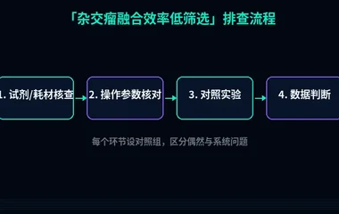 教程配图2:杂交瘤融合效率低筛选 排查流程示意