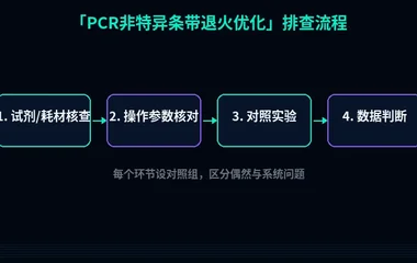 教程配图2:PCR非特异条带退火优化 排查流程示意