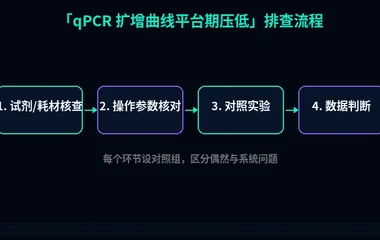教程配图2:qPCR 扩增曲线平台期压低 排查流程示意