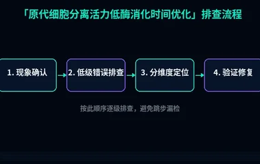 原代细胞分离活力低酶消化时间优化
