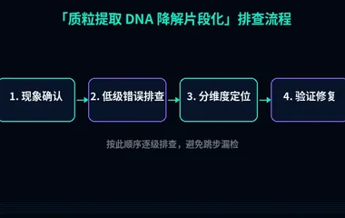 质粒提取 DNA 降解片段化