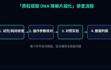 教程配图2:质粒提取 DNA 降解片段化 排查流程示意