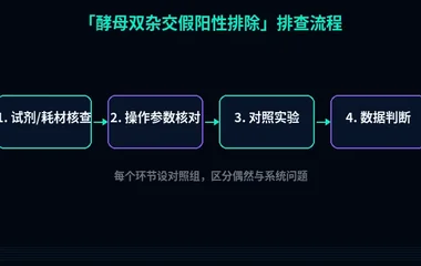 教程配图2:酵母双杂交假阳性排除 排查流程示意