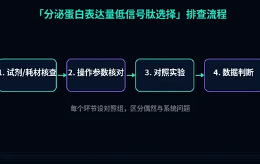 教程配图2:分泌蛋白表达量低信号肽选择 排查流程示意