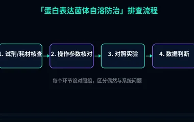 教程配图2:蛋白表达菌体自溶防治 排查流程示意